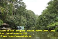 44220 26 065 Tortuguero- Kanaele, Puerto Limon, Costa Rica, Central-Amerika 2022.jpg
